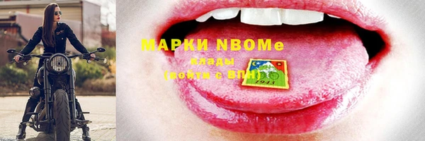PSILOCYBIN Алзамай