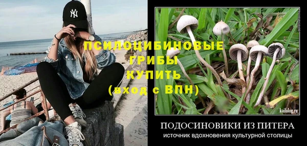 PSILOCYBIN Алзамай