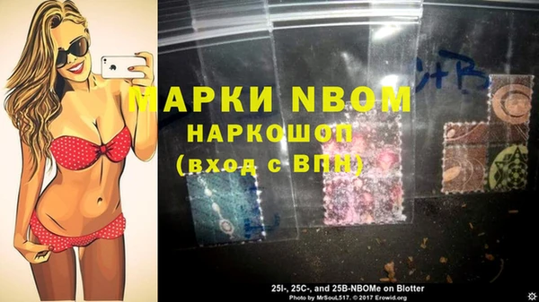 PSILOCYBIN Алзамай
