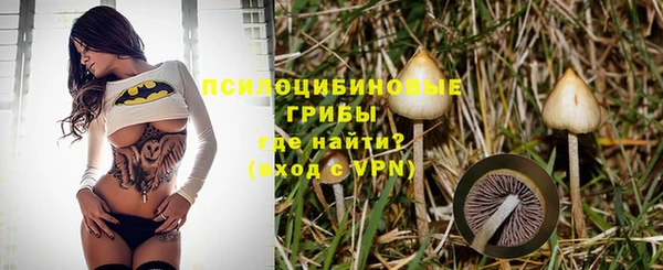 PSILOCYBIN Алзамай