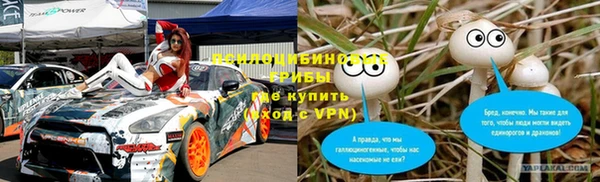 ешки Алексеевка