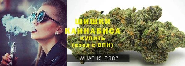 PSILOCYBIN Алзамай