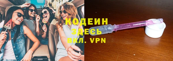PSILOCYBIN Алзамай