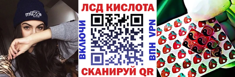 Марки 25I-NBOMe 1,8мг  darknet формула  Камызяк 
