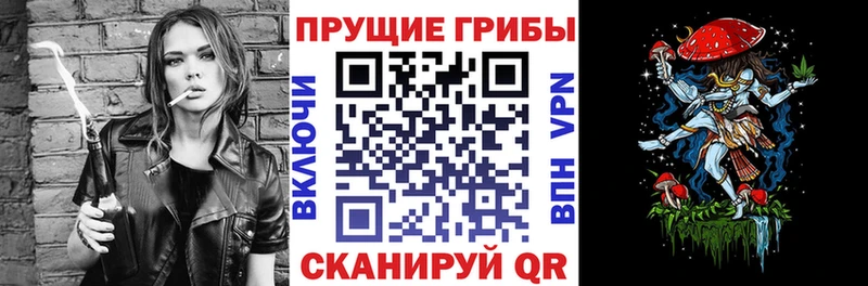 MEGA зеркало  магазин    Камызяк  Псилоцибиновые грибы мицелий 